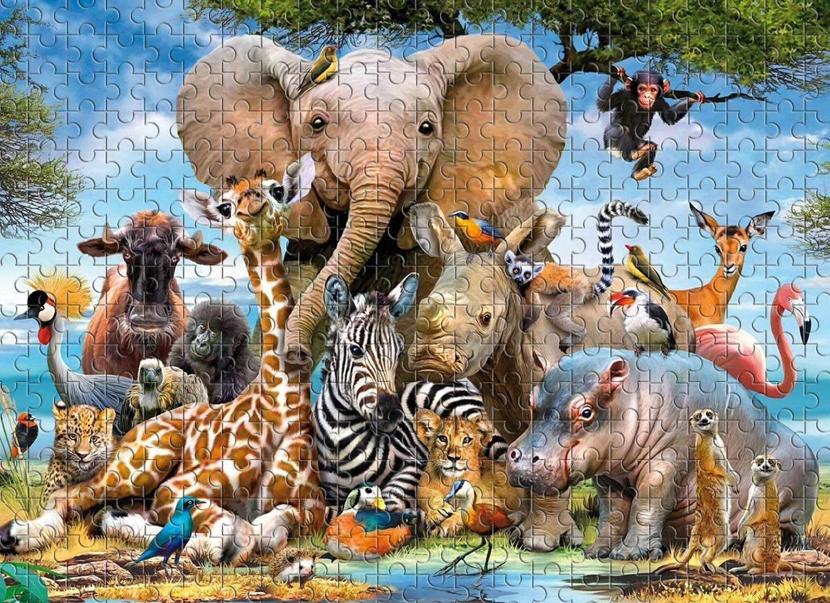 You are currently viewing Where to Buy Jigsaw Puzzle In Nepal?
